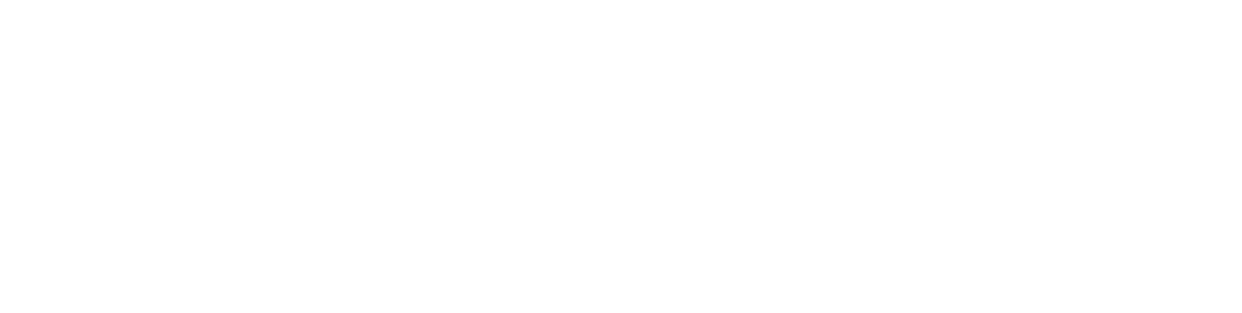 Show the Apex Painters white logo for professional painting services